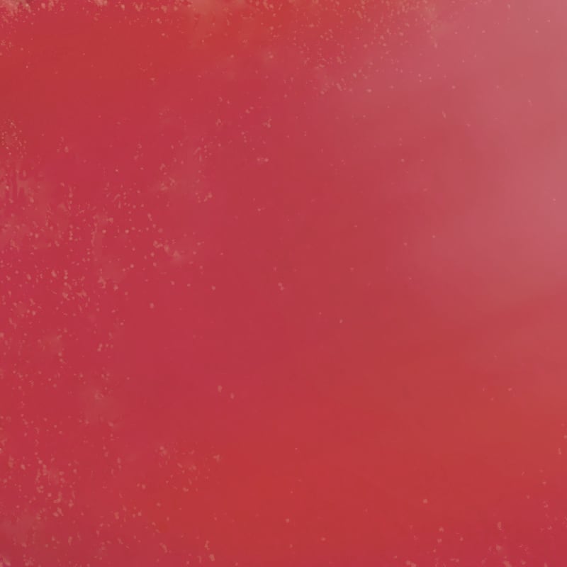 Thumbnail 15