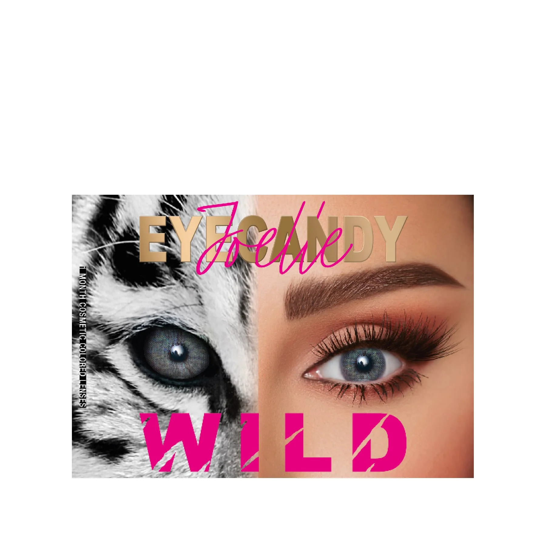 Thumbnail 29